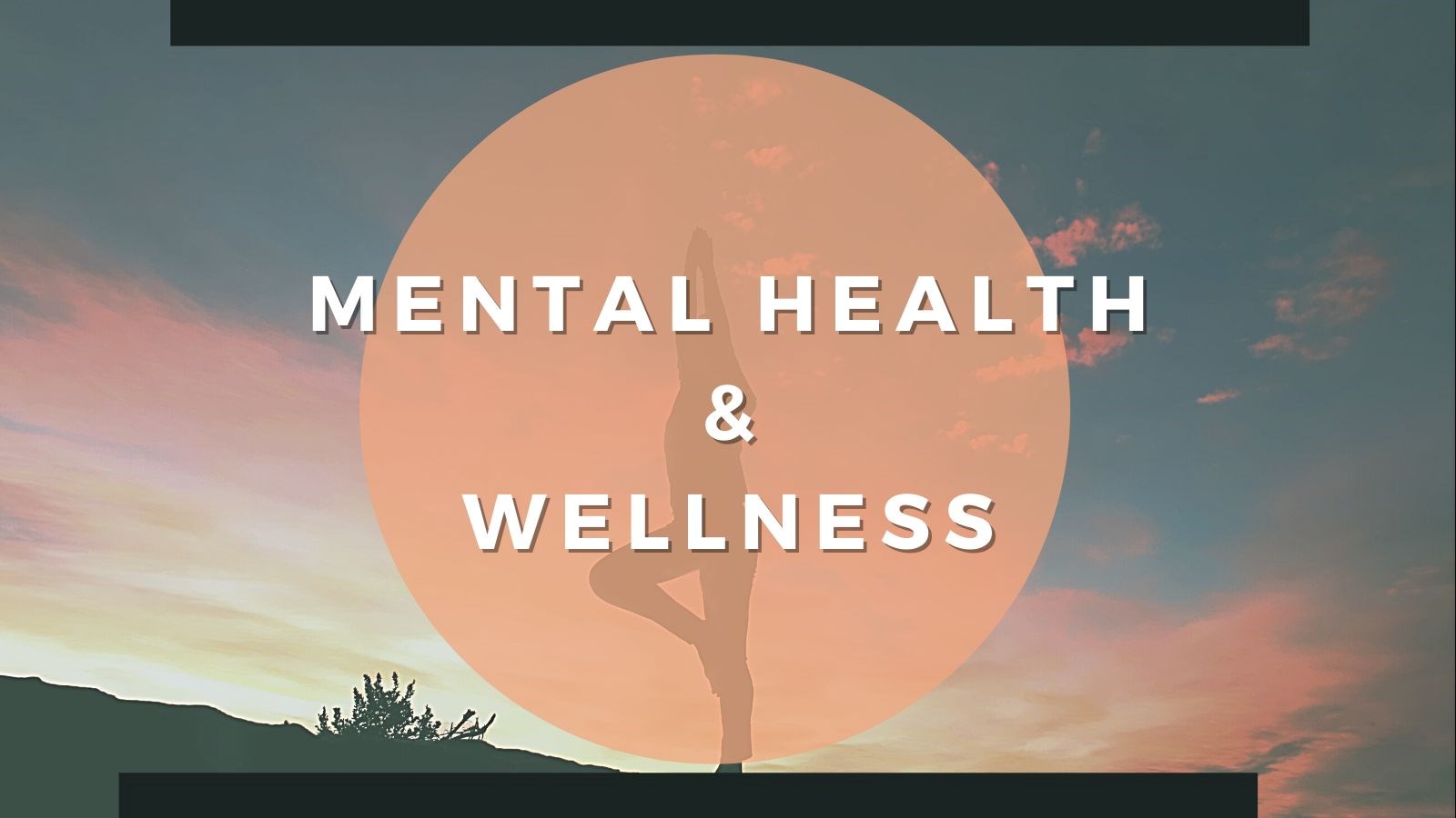 Mental health and wellness